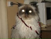 Фотография Новиковой Лены