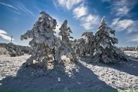 Дима Christmas фотография #47 (источник - https://vk.com/id3422265)