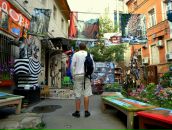 Фотография Волкова Алексея