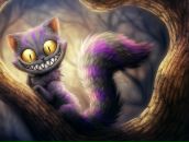 Фотография Ageeva Olga