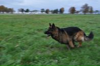 Артём Ант фотография #9 (источник - https://vk.com/id2387886)