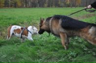 Артём Ант фотография #8 (источник - https://vk.com/id2387886)