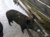 Андрій Дідак фотография #5 (источник - https://vk.com/id121784418)