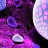 Таєчка Кантимір фотография #40 (источник - https://vk.com/id148605767)