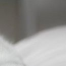 Наталія Олійник фотография #11 (источник - https://vk.com/id85387598)