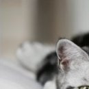 Наталія Олійник фотография #19 (источник - https://vk.com/id85387598)