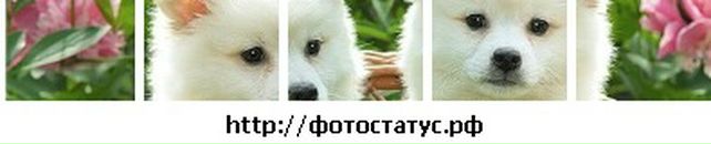 Танічка Штефан фотография #45 (источник - https://vk.com/id54599214)