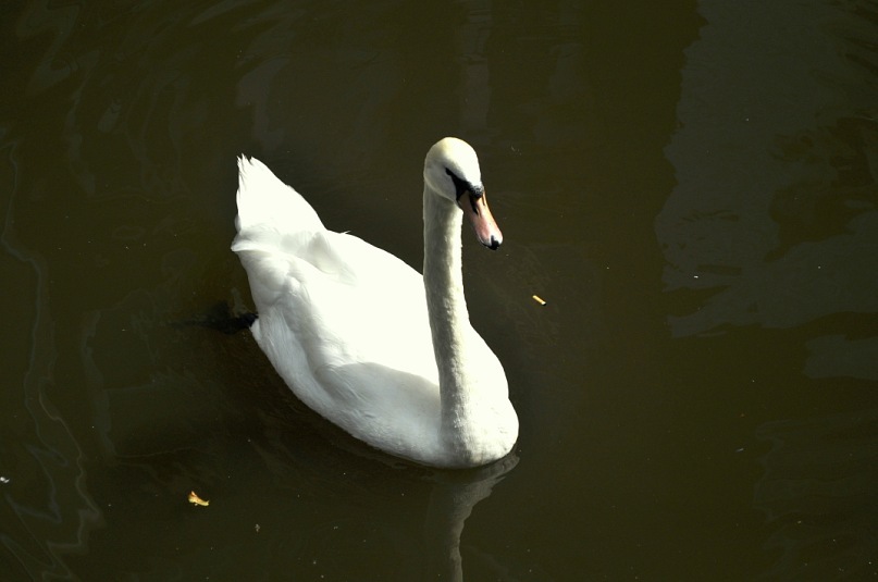 Иван Руденко фотография #44