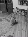 Іванка Ковалець фотография #29 (источник - https://vk.com/id103529325)