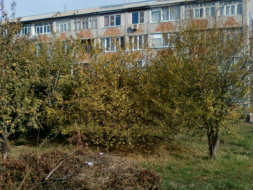 Мария Мощенко фотография #33