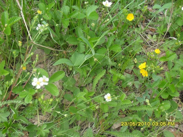 Сергей Сергеев фото №5