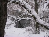 Мария Бильчук фотография #11 (источник - https://vk.com/id314305)