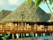 Марія Лебедь фотография #1