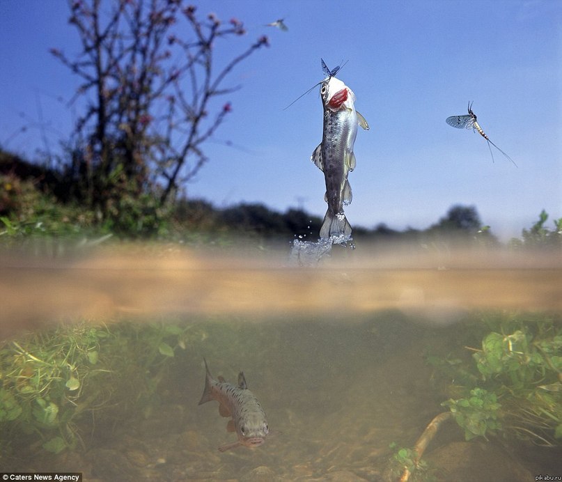 Сергей Пынько фотография #44