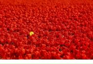 Фотография Мальшуковой Натальи