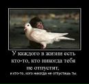 Фотография Гладкова Максима
