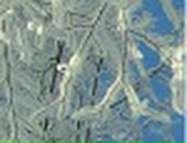 Олена Кошіль фотография #33 (источник - https://vk.com/id66648342)