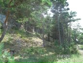 Teele Piik фотография #24 (источник - https://vk.com/id9423178)