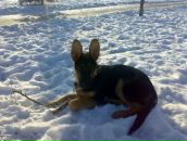 Діма Черненко фотография #17 (источник - https://vk.com/id60161567)