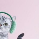 Інна Тодорчук фотография #21 (источник - https://vk.com/id155408833)