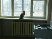 Мишко Дирів фотография #40 (источник - https://vk.com/id5754264)