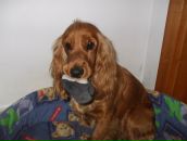 Никита Ерёменко фотография #22 (источник - https://vk.com/id55276762)