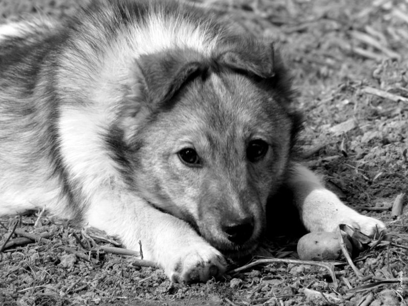 Владислав Никитин фотография #6