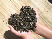 Фотография Сидоровой Натальи