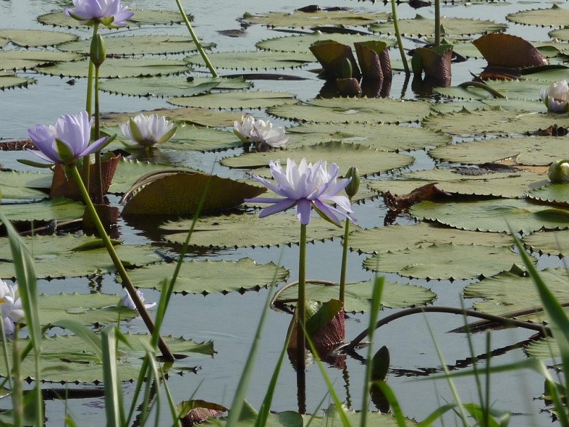 Елизавета Матвеенко фотография #38