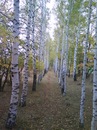 Εвдокия Κалашникова фотография #6 (источник - https://vk.com/id159676148)