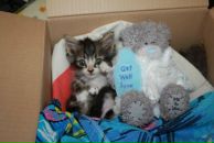 Фотография Андреевой Александры