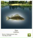 Віталя Кошель фотография #6 (источник - https://vk.com/id59264052)