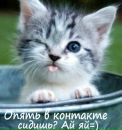 Сергій Абрамов фотография #5 (источник - https://vk.com/id183954221)