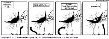 Internal Infinity фотография #9 (источник - https://vk.com/id2945498)