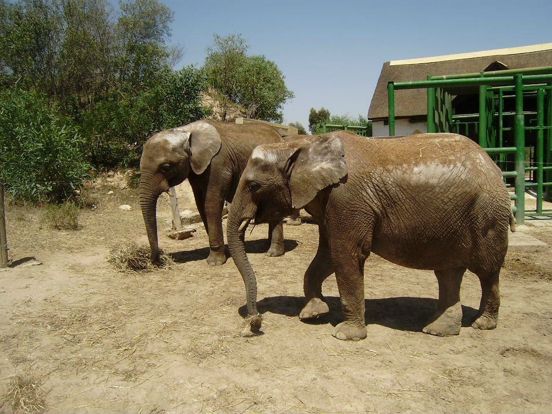Надежда Ткаченко фотография #8