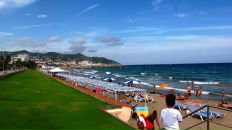 Sofia Vasheruk фотография #45 (источник - https://vk.com/id1475411)