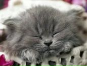 Наталія Мартинюк фотография #48 (источник - https://vk.com/id95006243)