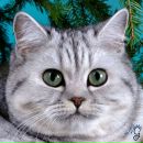 Фотография Петрик Анюты