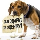 Фотография Зинатуллина Раиля