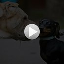 Іван Гришкевич фотография #11 (источник - https://vk.com/id167521280)