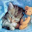 Фотография Кумаровой Арины