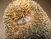 Фотография Папшевой Юли