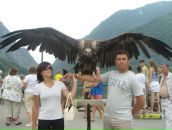 Фотография Кайгородова Алексея