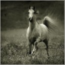 Лєра Хованець фотография #15 (источник - https://vk.com/id50056922)