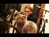 Женя Кучерова фотография #7 (источник - https://vk.com/id36660)