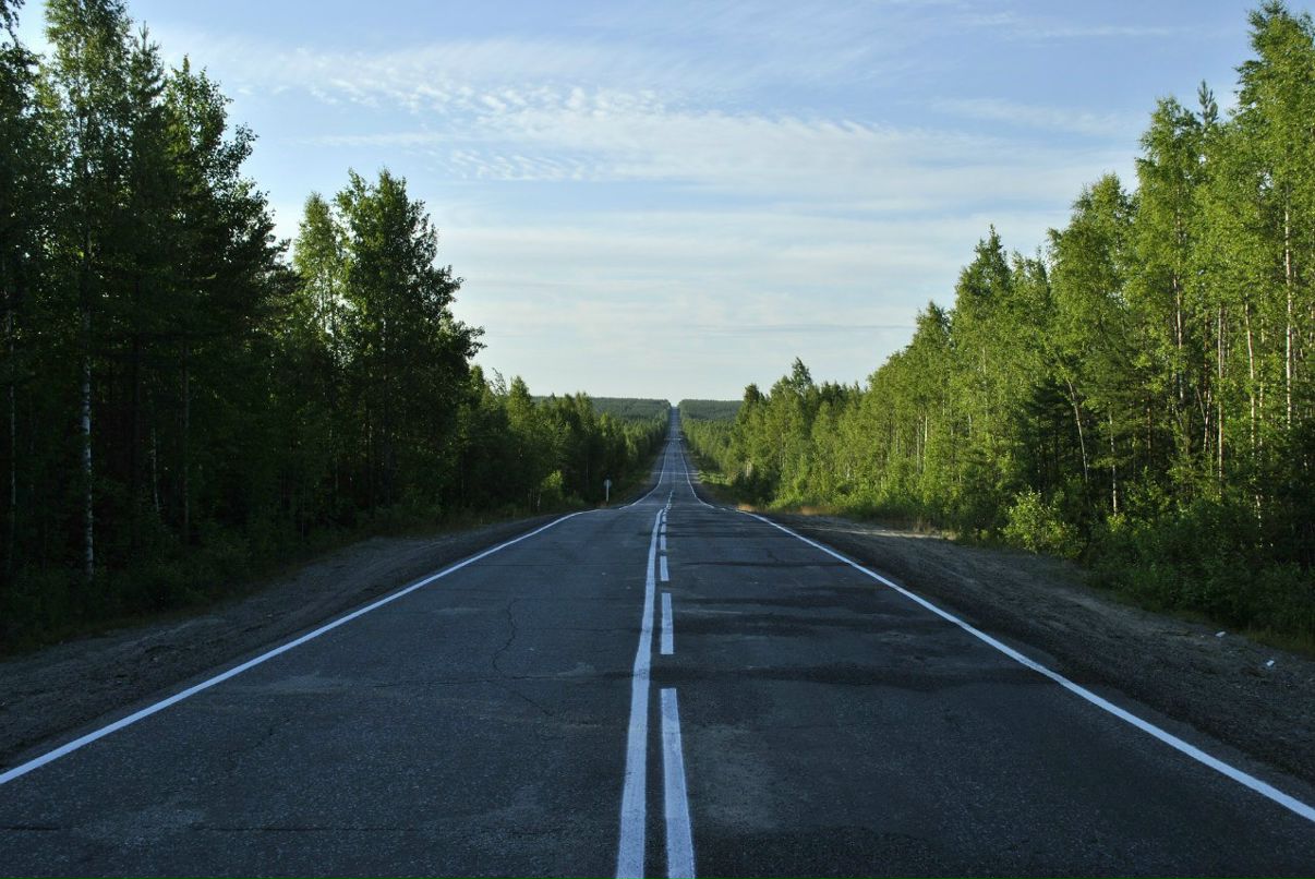 Дмитрий Павловский фотография #42