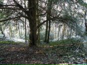 Андрій Пасічник фотография #30 (источник - https://vk.com/id7692358)