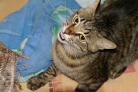 Фотография Рябцовой Надежды