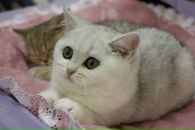 Фотография К Анны