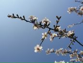 Фотография Жирихиной Татьяны